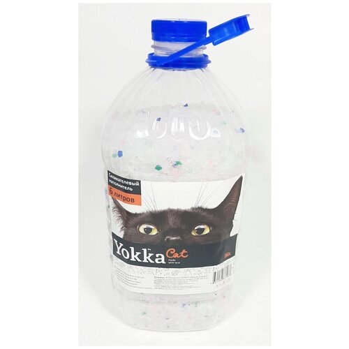  Yokka cat      Mix 6    -     , -,   