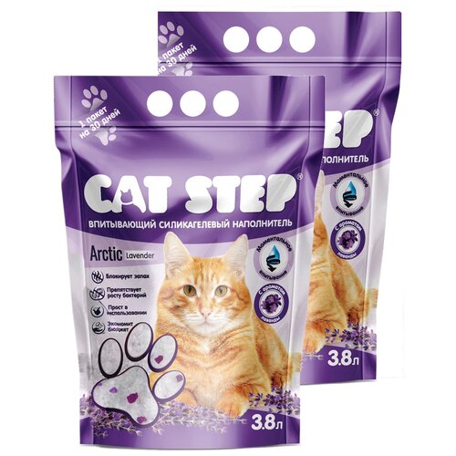    Cat Step Arctic Lavender 1.7  3.8 .   ,  2(3.8  2)