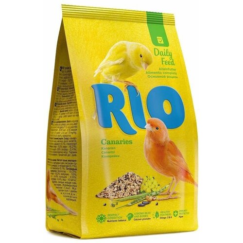  Rio  ,   (1 ) (3 )   -     , -,   