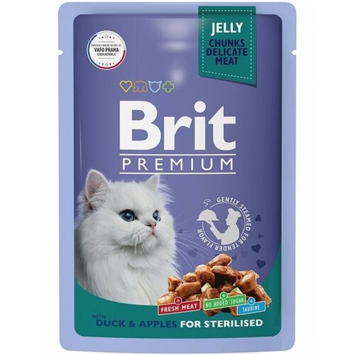   Brit Premium          85   -     , -,   