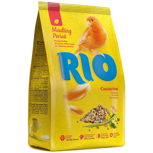     RIO  /  1   -     , -,   