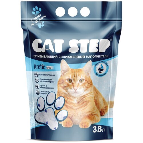  Cat Step       - 3,8    -     , -,   