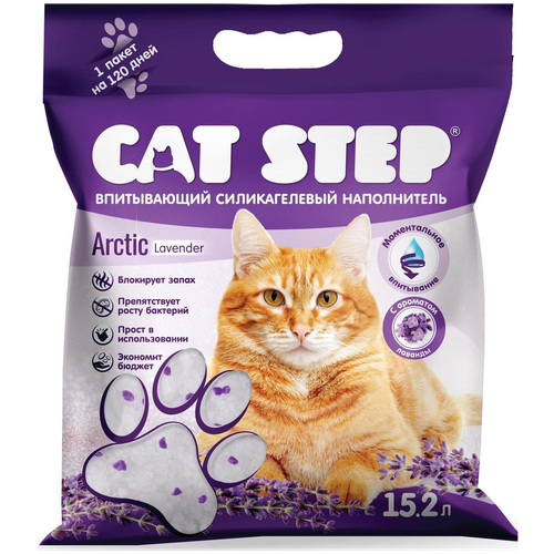    CAT STEP Arctic Lavender, 7,6    -     , -,   