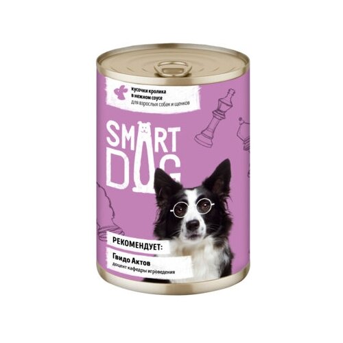  Smart Dog             2216 43729 0,24  43729 (34 )   -     , -,   