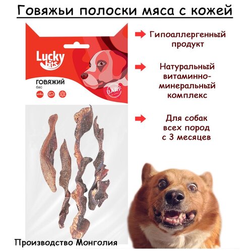      , Lucky bits, 50    -     , -,   