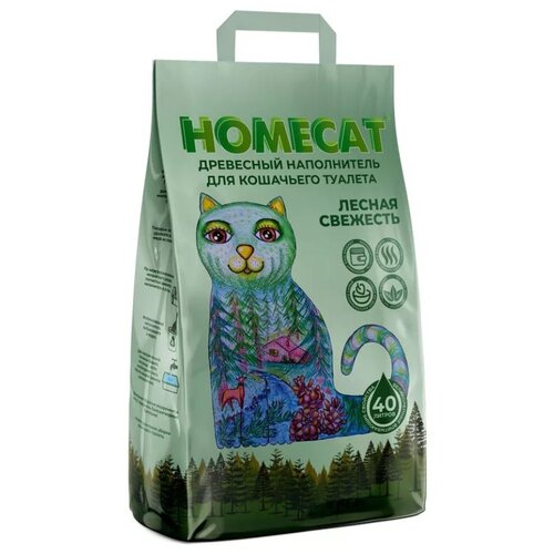  Homecat   , 40  (12  ) (3 )   -     , -,   