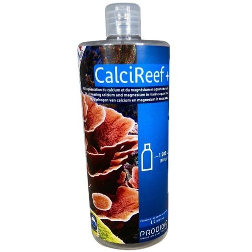  Calcireef+     , 1   -     , -,   