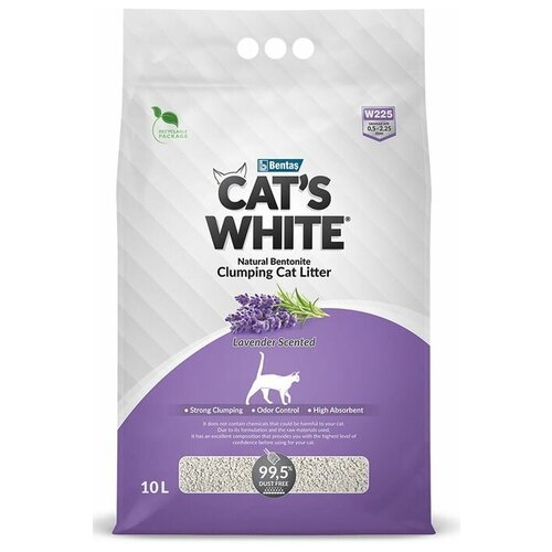           Cats White Lavender, 8,5  10    -     , -,   