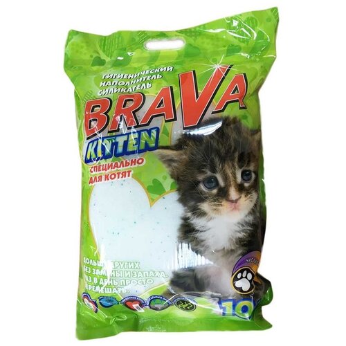      BRAVA KITTEN 10   -     , -,   