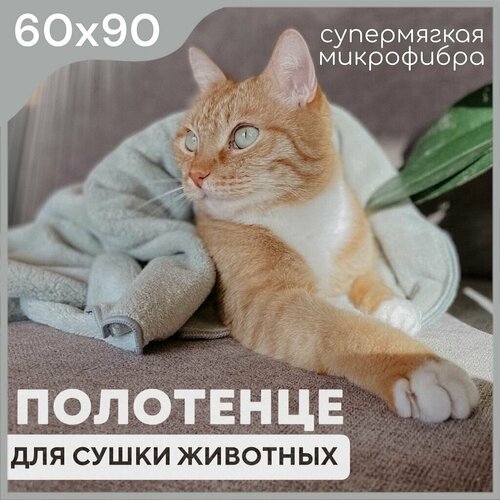    ,  My Pet Store  , , 60*90    -     , -,   