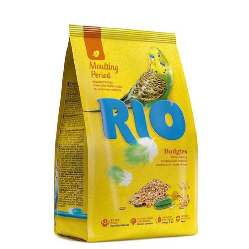  Rio        1    -     , -,   