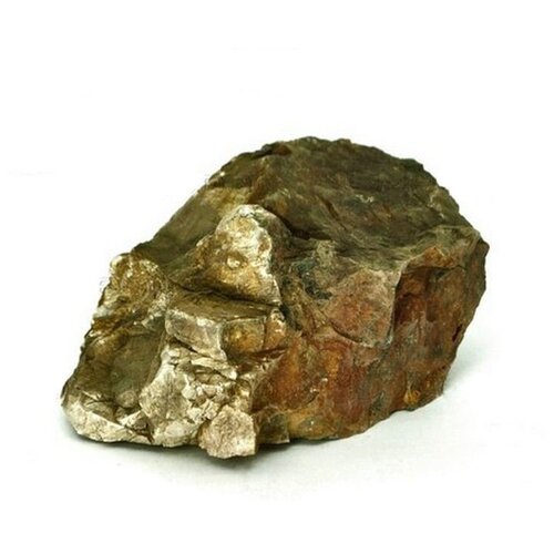   UDeco Fossilized Wood Stone XL   -     , -,   