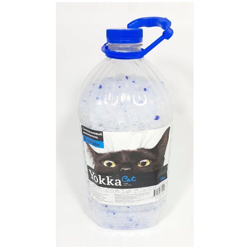  Yokka cat      Blue 6    -     , -,   