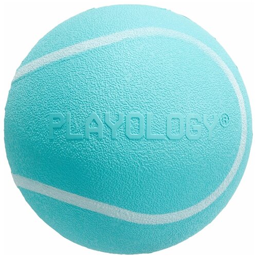  Playology    SQUEAKY CHEW BALL 6       ,    -     , -,   