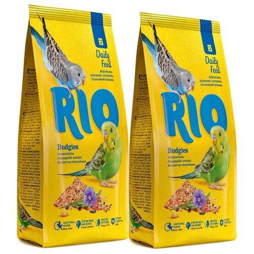   Rio   , 500   2    -     , -,   