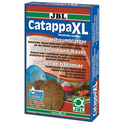  JBL Catappa XL -      .  10 .   -     , -,   