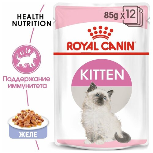   Royal Canin Kitten 85     4  12     (24   85 )   -     , -,   