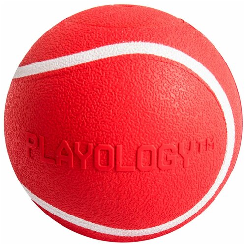  Playology   SQUEAKY CHEW BALL 6             ,     1 .      -     , -,   