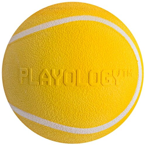     Playology Squeaky Chew Ball,  6.,    -     , -,   