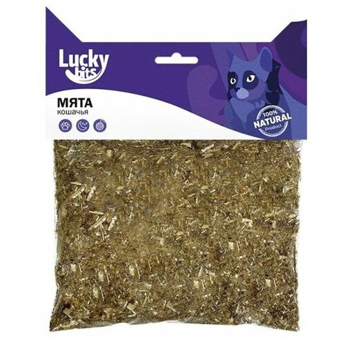     Lucky bits  , 15    -     , -,   