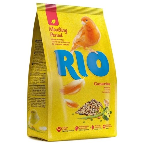   RIO     , 500    -     , -,   