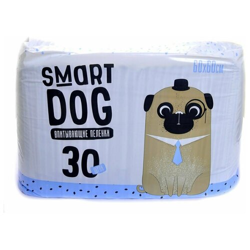  Smart Dog      60*60, 30    -     , -,   