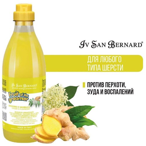       Iv San Bernard Fruit of the Groomer Ginger&Elderbery         1    -     , -,   