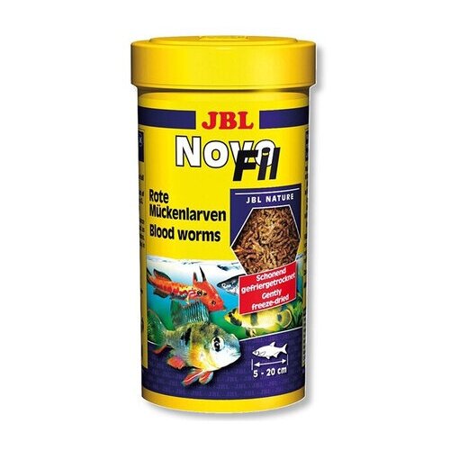  JBL NovoFil -  , .      , 250  (20 )   -     , -,   