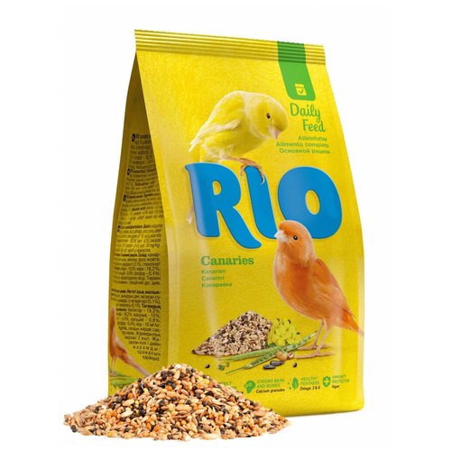  RIO   ,  , 500    -     , -,   