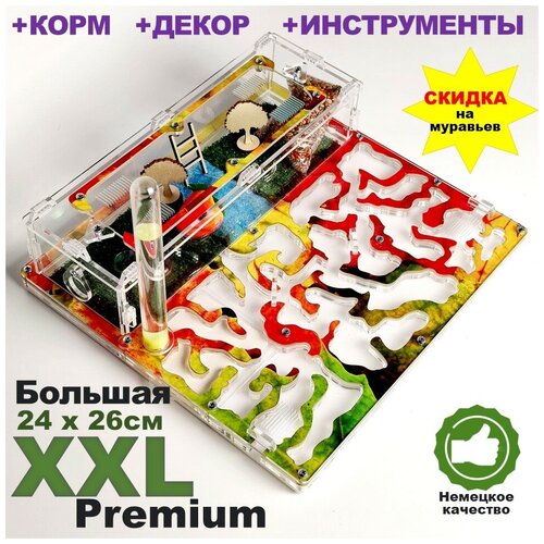     XXL Premium 24*26      -     , -,   