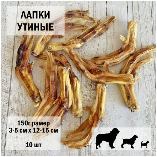    150 Dogs Appetite /    /     /    /       -     , -,   