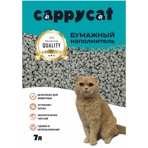      CappyCat    7   -     , -,   
