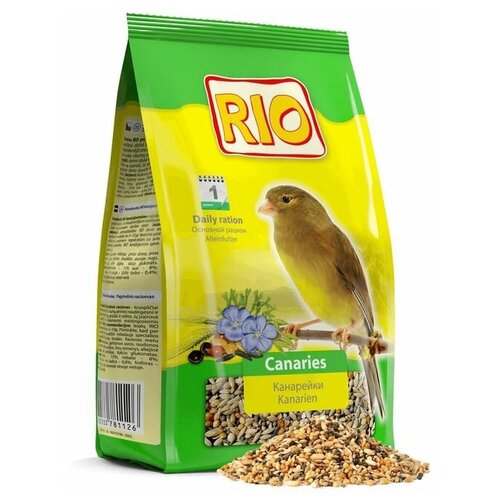  RIO  RIO  , 500    -     , -,   