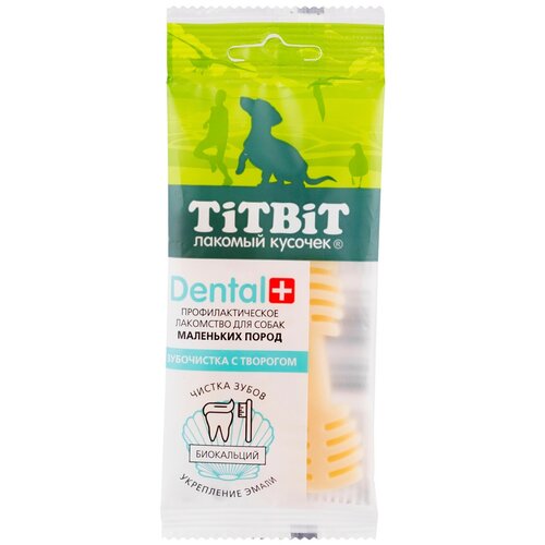  Titbit Dental+           -     , -,   