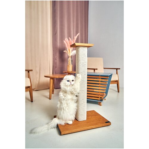   TeddyRoom Oak Cat Nail Concept   -     , -,   
