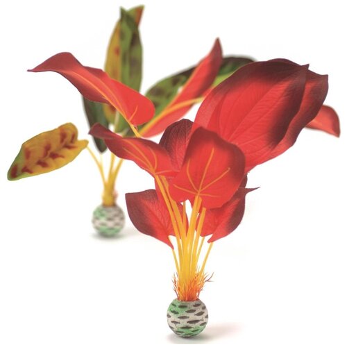   biOrb () Silk plant set large green & red   -     , -,   
