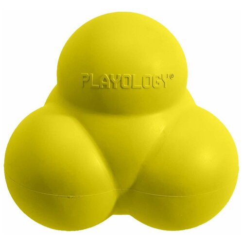  Playology     SQUEAKY BOUNCE BALL      ,  (0.2 )   -     , -,   