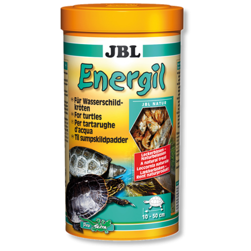  JBL Energil -       , 1  (170 ) (2 )   -     , -,   