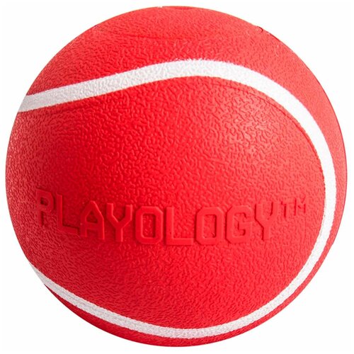  Playology    SQUEAKY CHEW BALL      , , 8  (0.17 )   -     , -,   