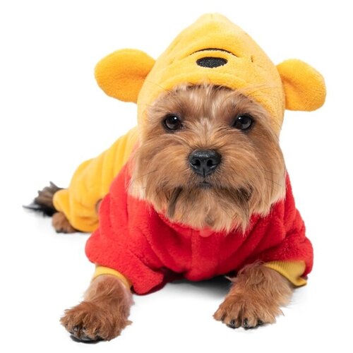  Triol   Disney Fun Winnie-the-Pooh M,  30   -     , -,   