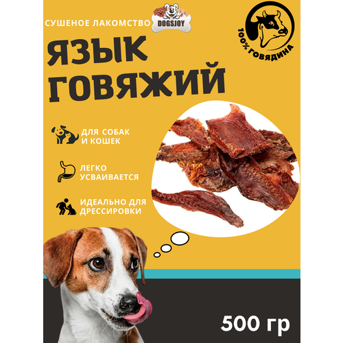  Dogsjoy      500    -     , -,   