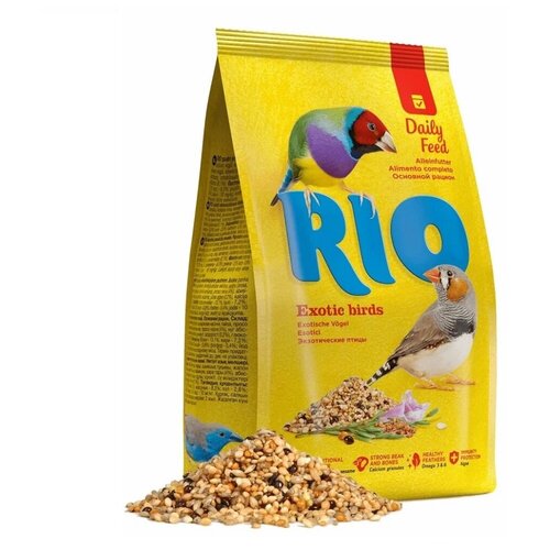  RIO    ,  , 500    -     , -,   