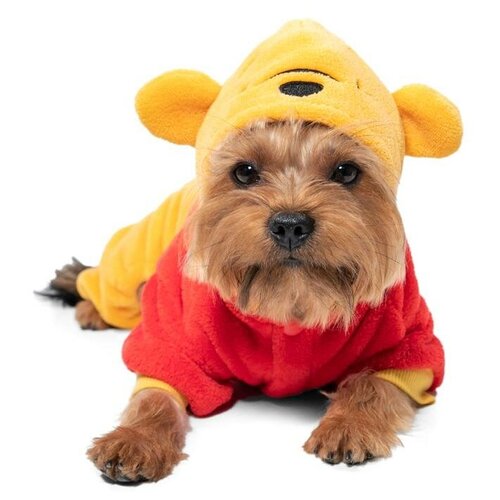    Disney Fun Winnie-the-Pooh XS,  20, Triol   -     , -,   
