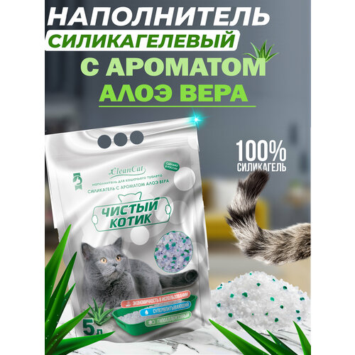 ���� ����������� ����������� ������������� ������ ����� ������� � �������� ���� ���� 2��/5 �, ������ ������