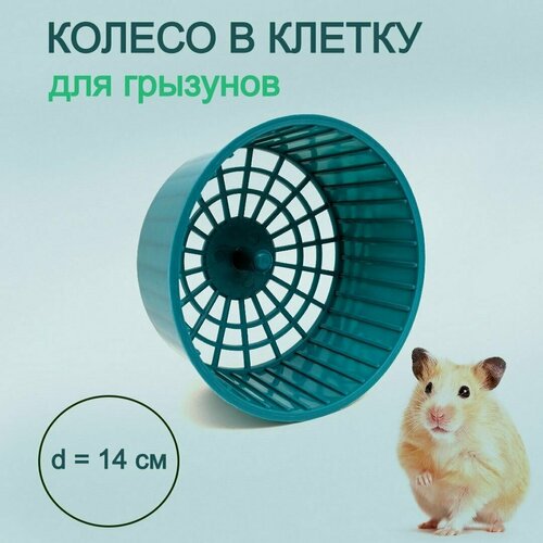 ���� ������ ��� ������, ��������, ����, �����, �������� ��������� ����������� � ������ ������� 14 �� ���������, ������ ������