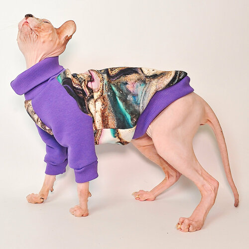 ���� Ҹ���� ����� ��� ����� ���������� �����, ����������� ����� , ������ L, ������ ������