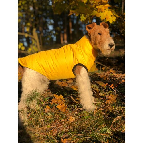 ���� ����� ��� ����� ������ �� ������, ������, ������ XXL, ������ ������