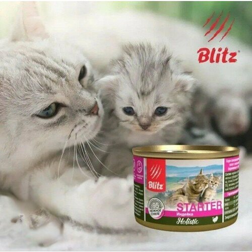     ,     Blitz Holistic Starter 200*6      -     , -  