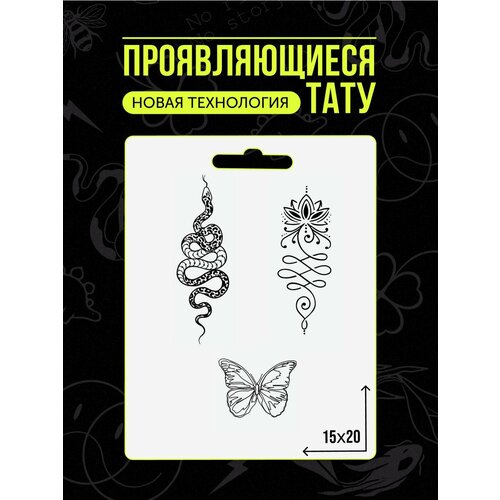 ���� ���� ���������� �������������� ��������, ������ ������