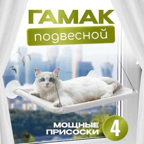 ���� ��������� ������� ����� ��� ����� � ����� ����� � ���������� �� ���� / ��������� ������� �� ��������� �� ����, ������ ������